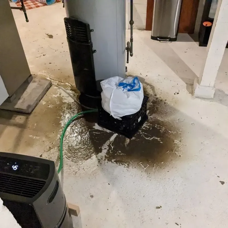 Sewage Backup Cleanup Service in Milesburg, PA